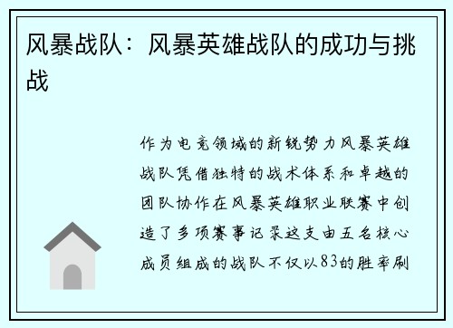 风暴战队：风暴英雄战队的成功与挑战